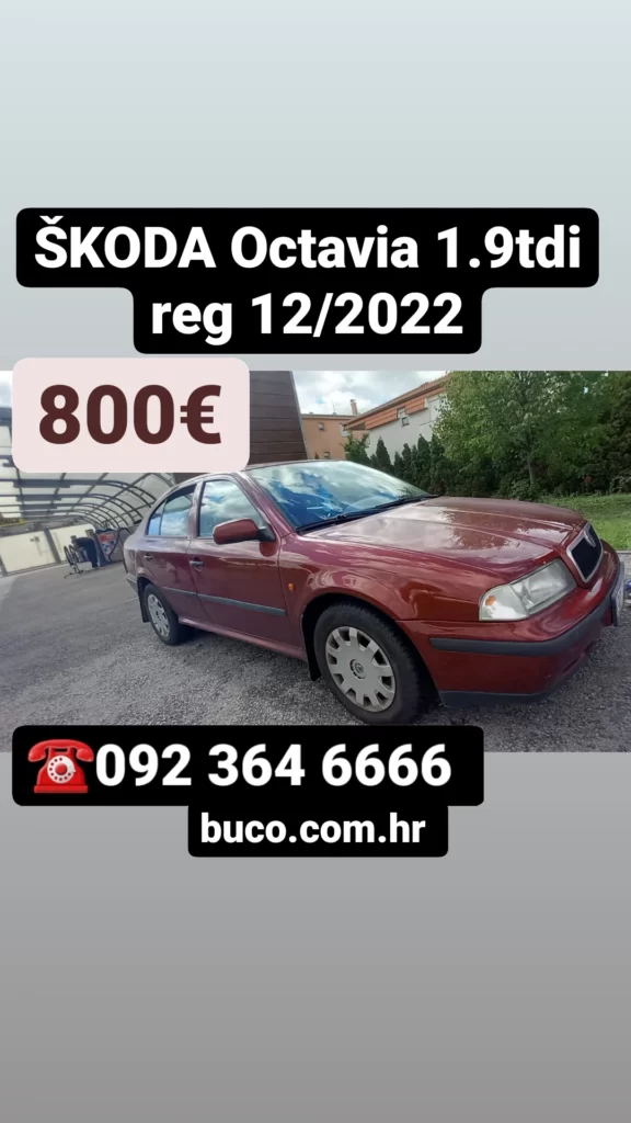 IMG 20220919 144243 409