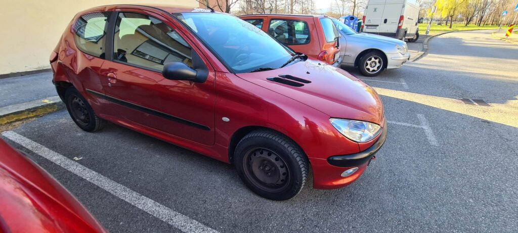 336155072 1334072983836534 5664650536215195 n