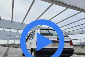 337401687 158538777095935 4441291254651363286 n 1