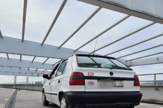 337401687 158538777095935 4441291254651363286 n