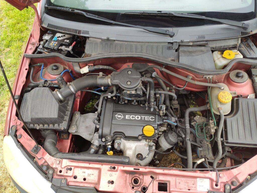 343377962 100248783089616 1500484448362764454 n