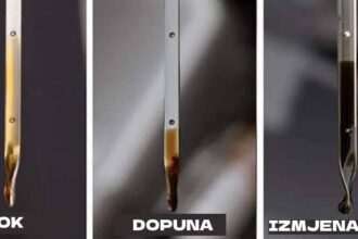 361276442 2839357156199897 7392710372462582038 n 1