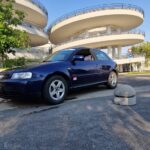 370784231 621226426860809 1798208782526819660 n