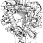 FB IMG 1691463004037