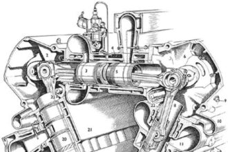 FB IMG 1691463004037