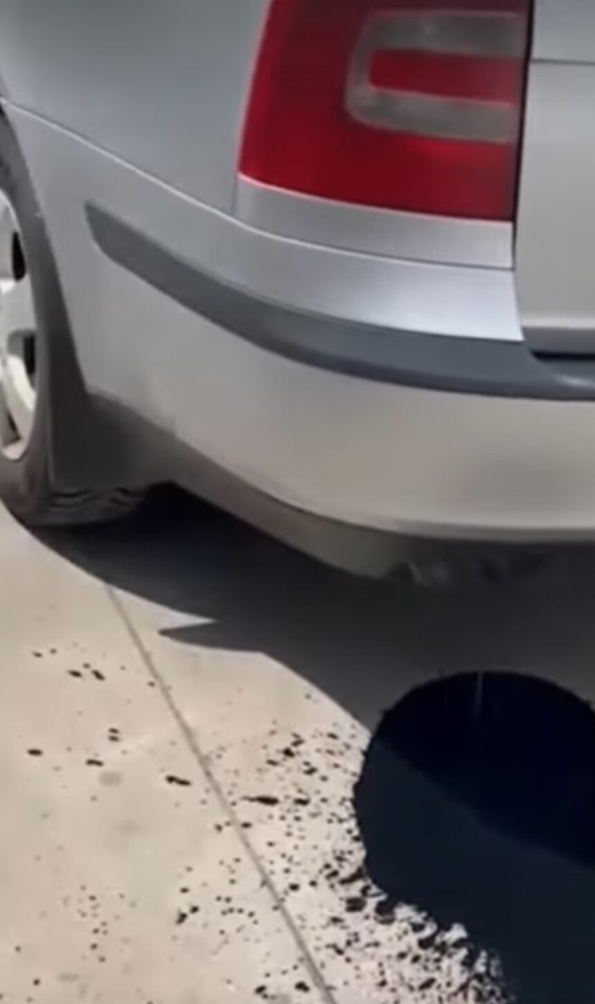 Screenshot 20240413 003741 YouTube