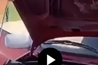 Screenshot 20240509 183838 Chrome