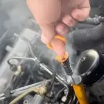 dimsipka transformed 1