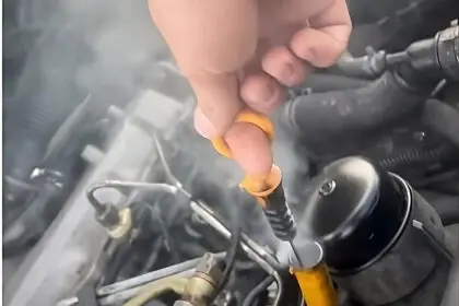 dimsipka transformed 1