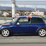 568186925 1139886434994803 2586817561418256868 n