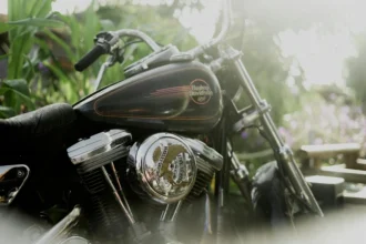 static photos 1764877346