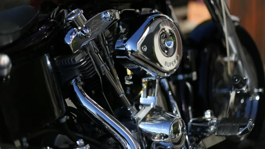 static photos 1765310789