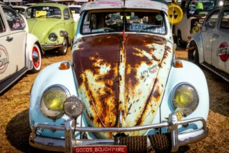 static photos 1765549555