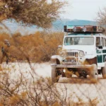 static photos 1765653003