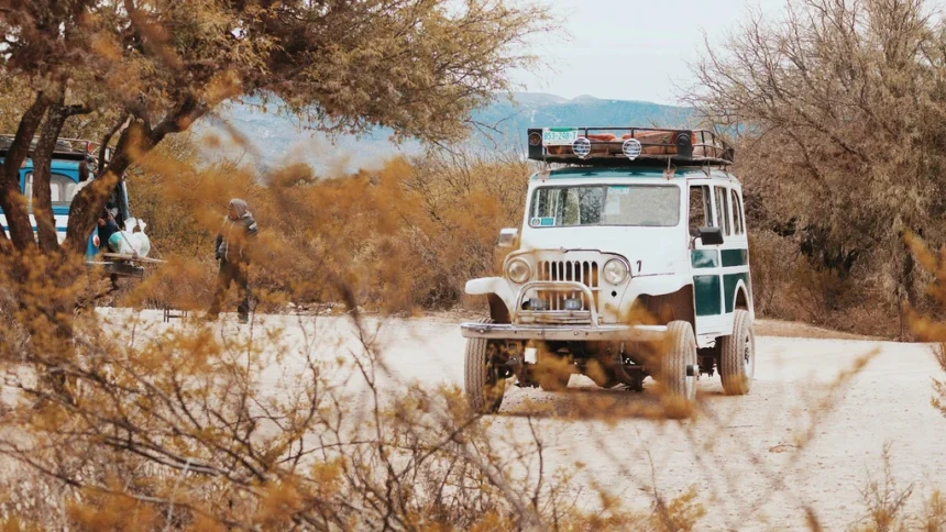 static photos 1765653003