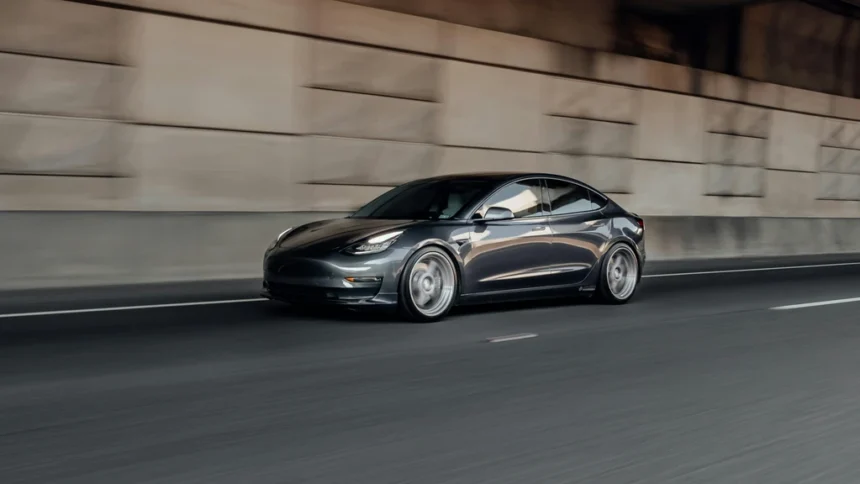 static photos 1765653167