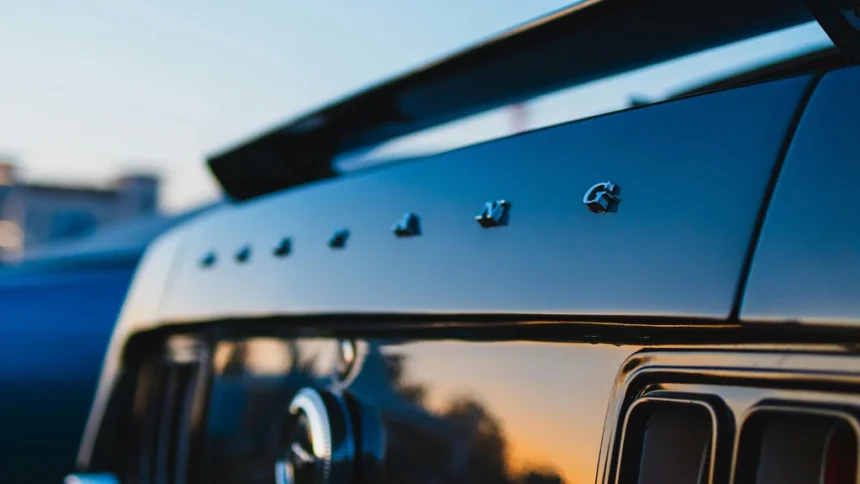 static photos 1765812066