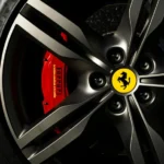 static photos 1765840445