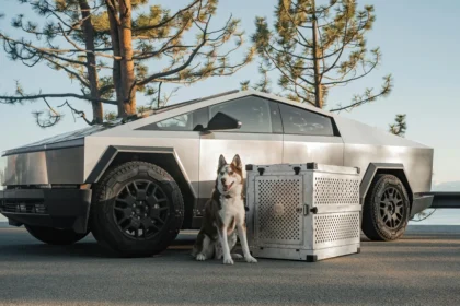 static photos 1766176119