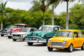 static photos 1766184217