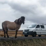 static photos 1766359801