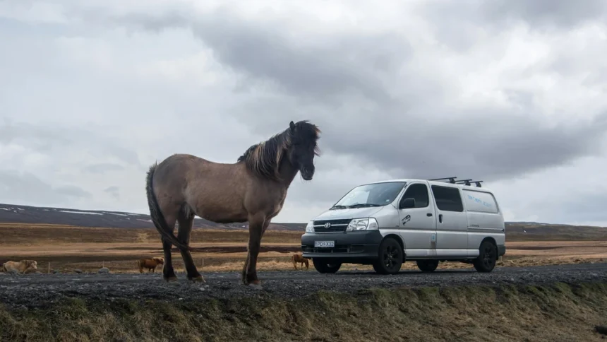 static photos 1766359801