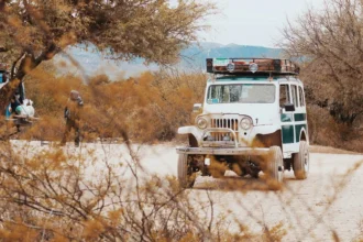 static photos 1766440510