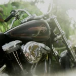 static photos 1766720564