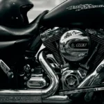 static photos 1766784277