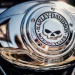 static photos 1767016676