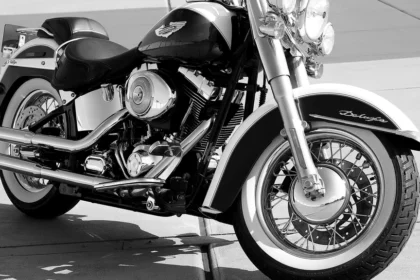 static photos 1767144955