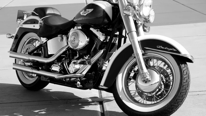 static photos 1767144955