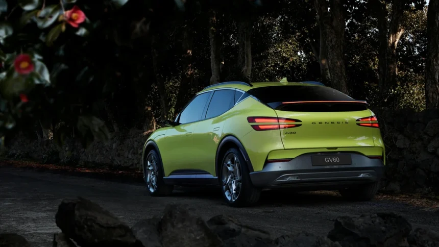 static photos 1767188698