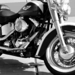 static photos 1767225013