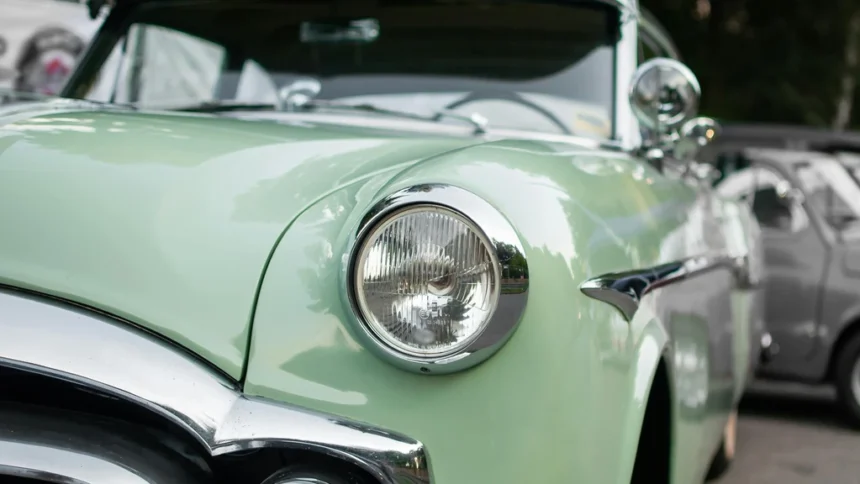 static photos 1773104481