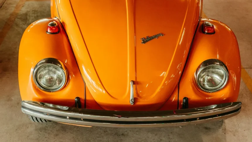 static photos 1774185669